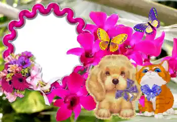 Texto na moldura: Parabens! Texto na moldura: Parabens!