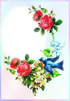 Texto na moldura: Parabens! Texto na moldura: Parabens!