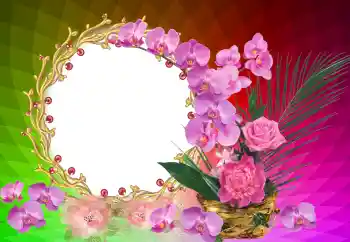 PhotoEffect da categoria Festas diversas № 121122