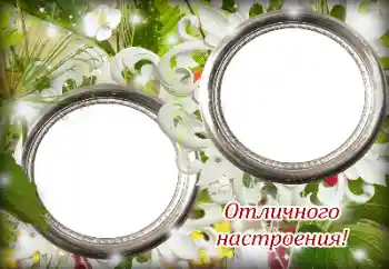 Texto na moldura: Excellent mood!