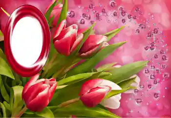 PhotoEffect da categoria Festas diversas № 150549