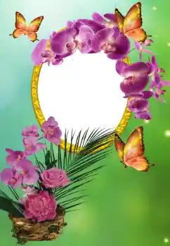 PhotoEffect da categoria Festas diversas № 150615