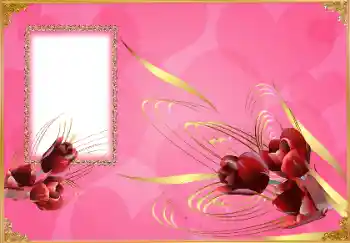 PhotoEffect da categoria Festas diversas № 150620