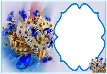 PhotoEffect da categoria Festas diversas № 151810 PhotoEffect da categoria Festas diversas № 151810