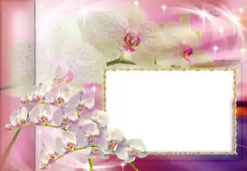 PhotoEffect da categoria Festas diversas № 153160 PhotoEffect da categoria Festas diversas № 153160