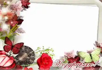 Texto na moldura: Parabens! Texto na moldura: Parabens!