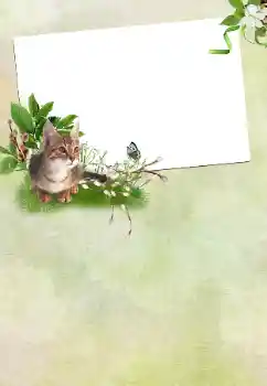 PhotoEffect da categoria Festas diversas № 167762 PhotoEffect da categoria Festas diversas № 167762