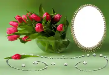 PhotoEffect da categoria Festas diversas № 169026