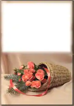 PhotoEffect da categoria Festas diversas № 171774 PhotoEffect da categoria Festas diversas № 171774