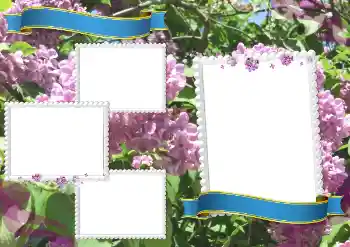 PhotoEffect da categoria Diversos escolares № 205334