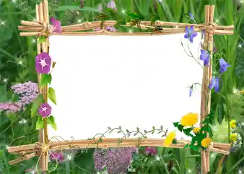 PhotoEffect da categoria Verão № 1001