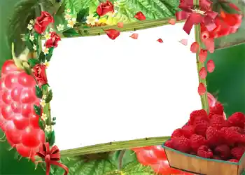 PhotoEffect da categoria Verão № 1003