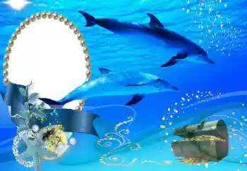 PhotoEffect da categoria Verão № 101226 PhotoEffect da categoria Verão № 101226