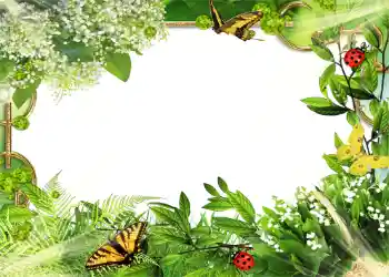 PhotoEffect da categoria Verão № 1109