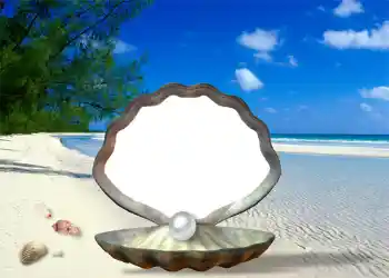 PhotoEffect da categoria Verão № 1111