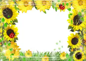 PhotoEffect da categoria Verão № 1113