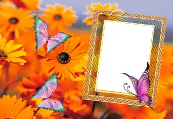 PhotoEffect da categoria Verão № 112111 PhotoEffect da categoria Verão № 112111