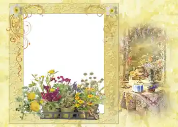 PhotoEffect da categoria Verão № 1121