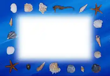 PhotoEffect da categoria Verão № 113121 PhotoEffect da categoria Verão № 113121