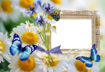 PhotoEffect da categoria Verão № 114393 PhotoEffect da categoria Verão № 114393