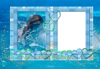 PhotoEffect da categoria Verão № 114439 PhotoEffect da categoria Verão № 114439