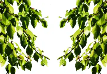 PhotoEffect da categoria Verão № 114501 PhotoEffect da categoria Verão № 114501