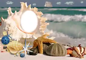 PhotoEffect da categoria Verão № 115806