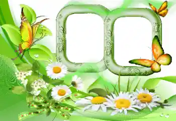 PhotoEffect da categoria Verão № 115844