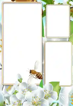 PhotoEffect da categoria Verão № 116125