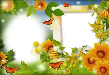 PhotoEffect da categoria Verão № 116126