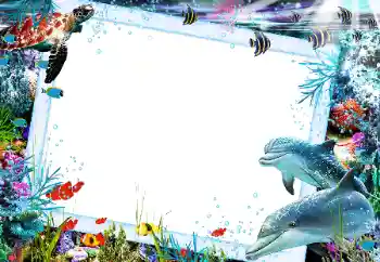 PhotoEffect da categoria Verão № 121106