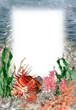 PhotoEffect da categoria Verão № 121109