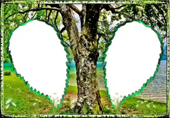 PhotoEffect da categoria Verão № 123182