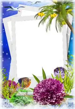 PhotoEffect da categoria Verão № 124280