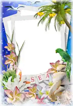 PhotoEffect da categoria Verão № 124282