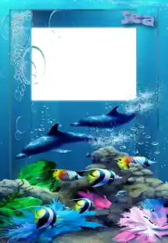 PhotoEffect da categoria Verão № 127063