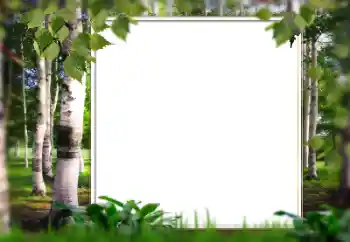 PhotoEffect da categoria Verão № 128567