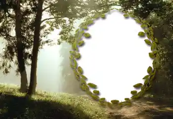 PhotoEffect da categoria Verão № 130985