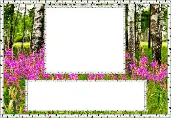 PhotoEffect da categoria Verão № 131011