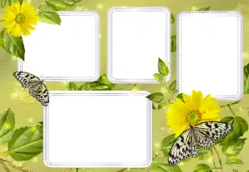 PhotoEffect da categoria Verão № 131450