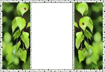 PhotoEffect da categoria Verão № 132875