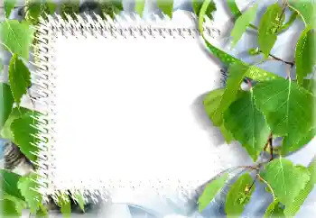 PhotoEffect da categoria Verão № 132911