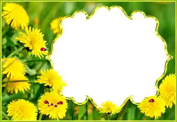 PhotoEffect da categoria Verão № 132994