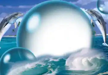 PhotoEffect da categoria Verão № 138513