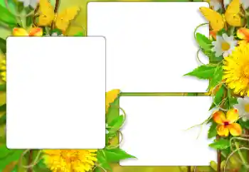 PhotoEffect da categoria Verão № 138523