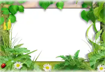 PhotoEffect da categoria Verão № 138647