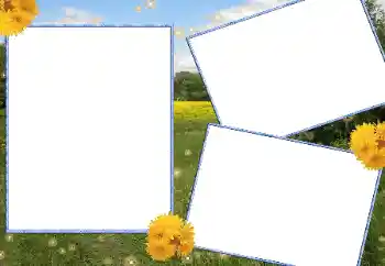 PhotoEffect da categoria Verão № 13915