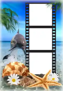 PhotoEffect da categoria Verão № 142225