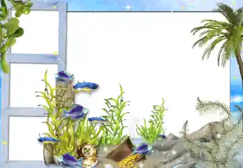 PhotoEffect da categoria Verão № 142298