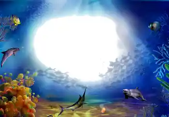 PhotoEffect da categoria Verão № 142470